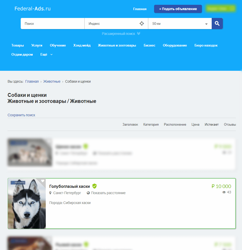 Платная услуга Рамка на Federal-Ads.ru Дополнительная платная услуга Первое на Federal-Ads.ru